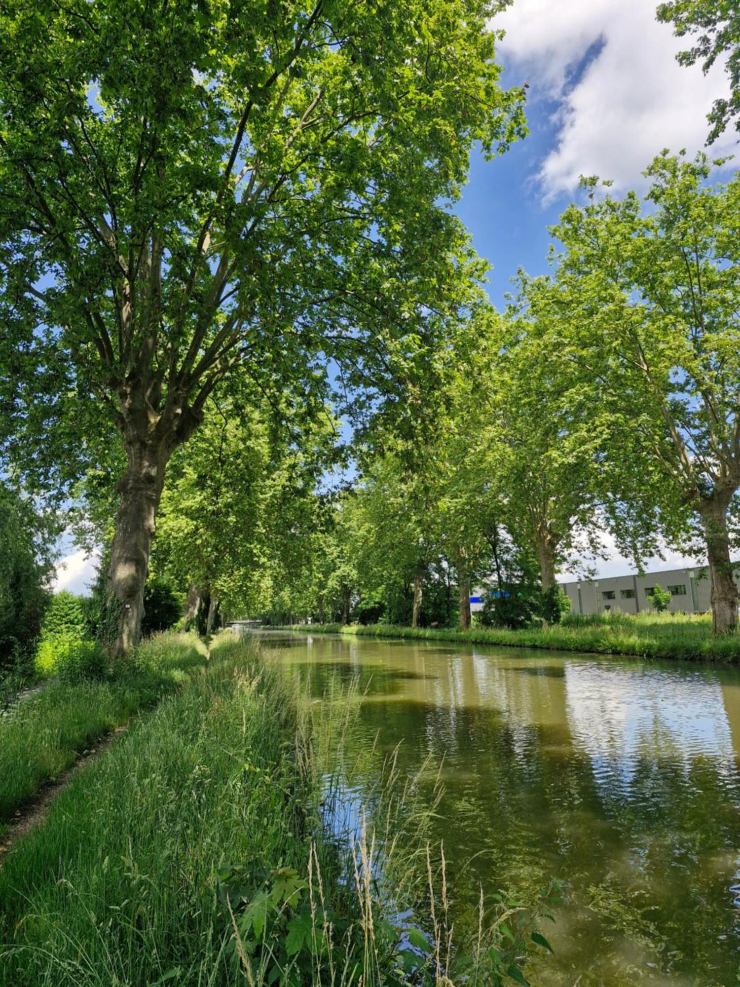 Gite-Appart Com' "Des Cimes Et Jardin" Illkirch-Graffenstaden Luaran gambar